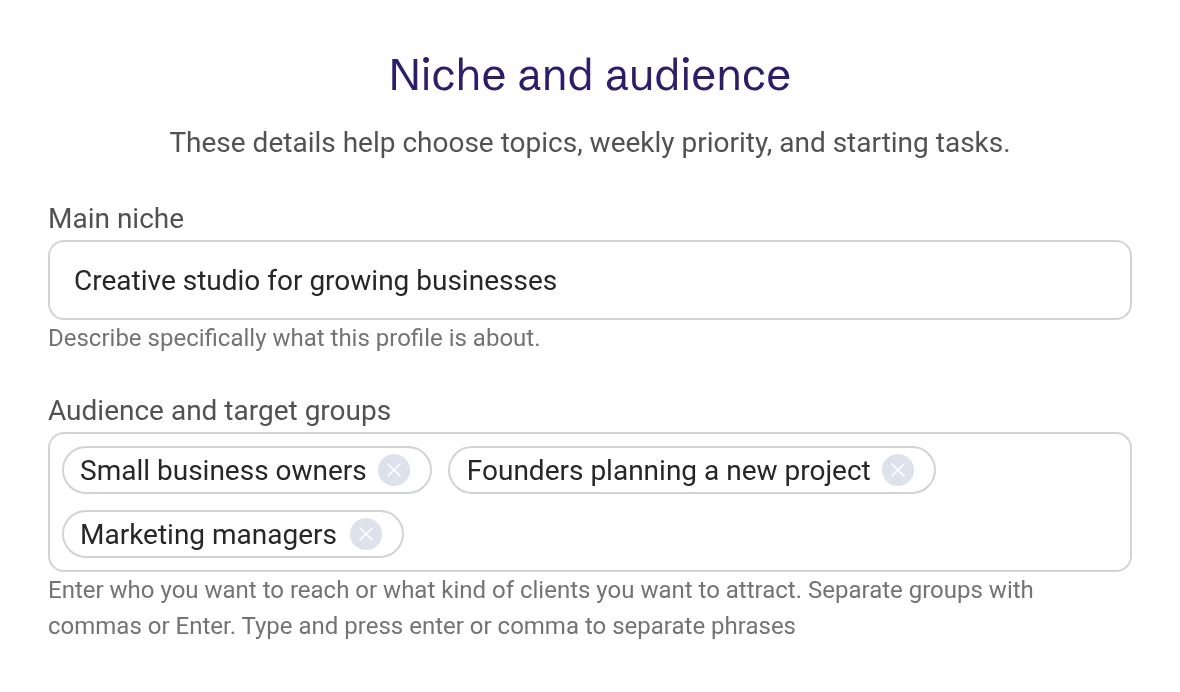 Niche and audience with the main niche and three audience groups filled in